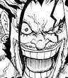 Raider
